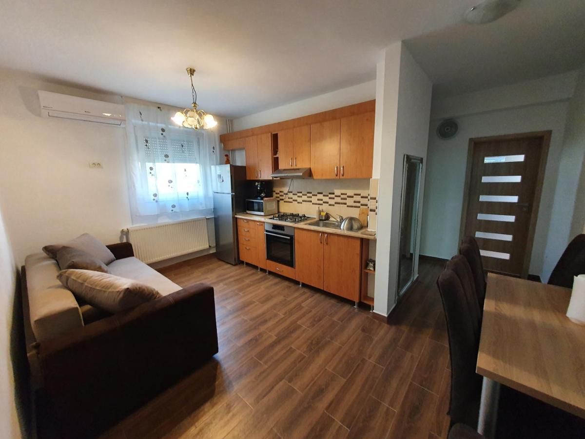Apartament Andrei Băile Felix Zewnętrze zdjęcie