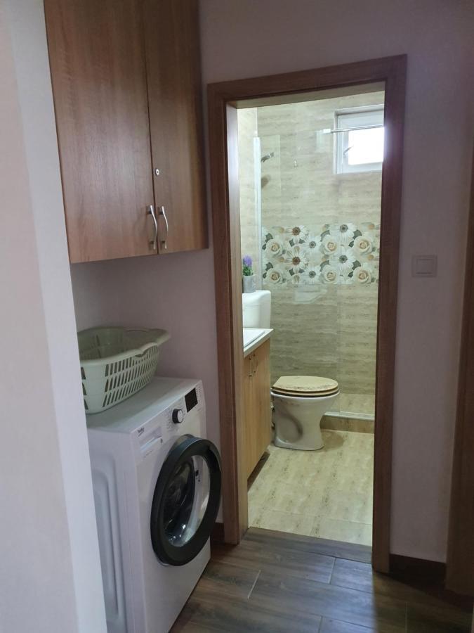 Apartament Andrei Băile Felix Zewnętrze zdjęcie