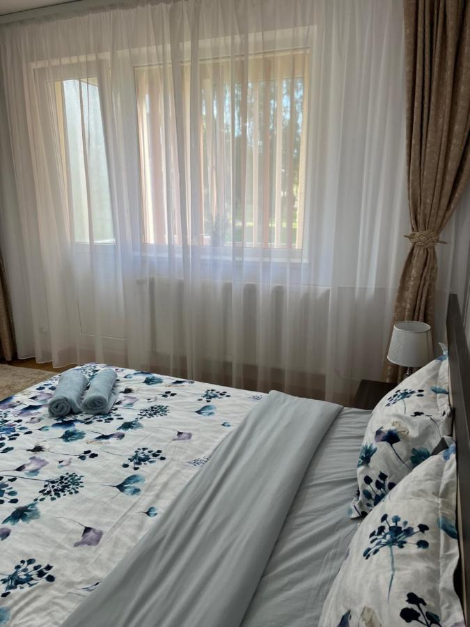 Apartament Andrei Băile Felix Zewnętrze zdjęcie