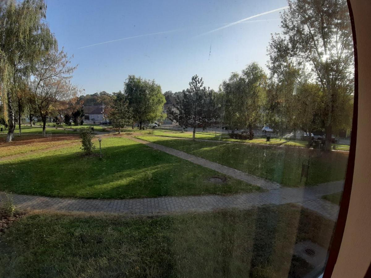 Apartament Andrei Băile Felix Zewnętrze zdjęcie